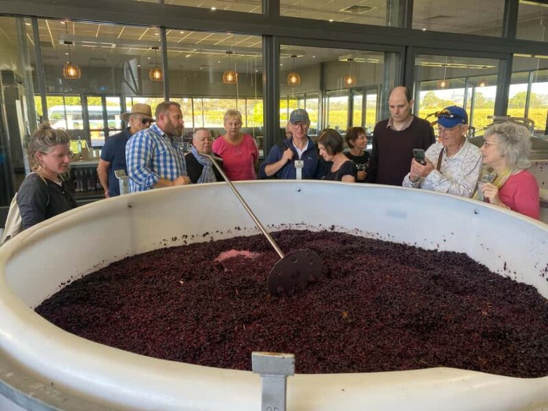 Adelaide: Barossa Premium Wine Tasting tour & Winery Lunch - Overall Value and Practicalities