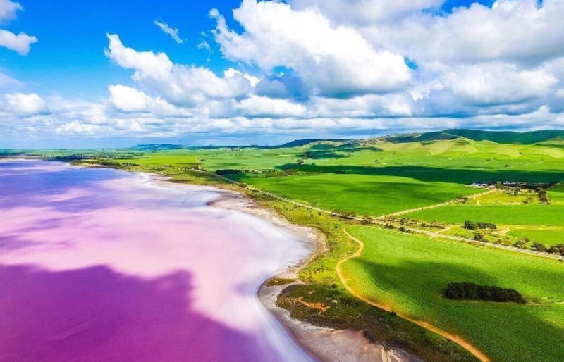 Adelaide Bumbunga Lake & Penfolds Estate Full-Day Chinese Small Group Tour - Key points before you book