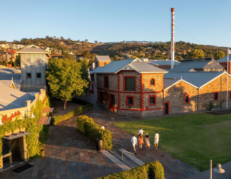 Adelaide Bumbunga Lake & Penfolds Estate Full-Day Chinese Small Group Tour - What the day is really about