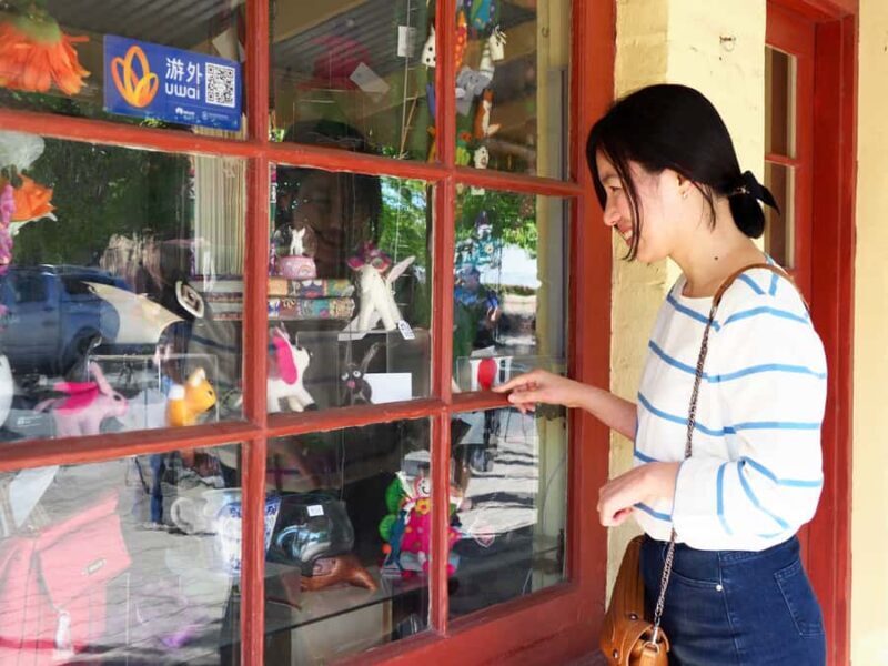 Adelaide: City, Adelaide Hills Villages, and Hahndorf Tour - The Charm of Hahndorf