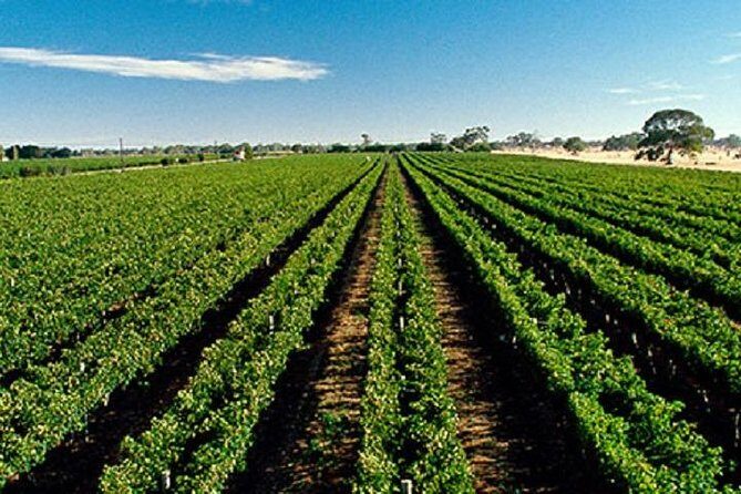 Adelaide City Full-Day Tour - FAQ