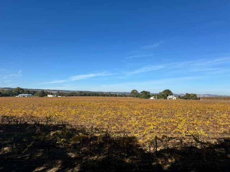 Adelaide City Highlights Full-Day Tour - Who Would Love This Tour?