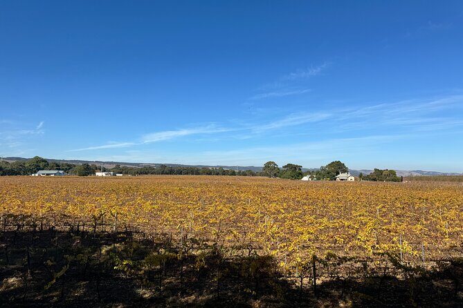 Adelaide City Highlights via Hahndorf Half-Day Tour - Discovering Adelaide in a Half Day: The Adelaide City Highlights via Hahndorf Tour