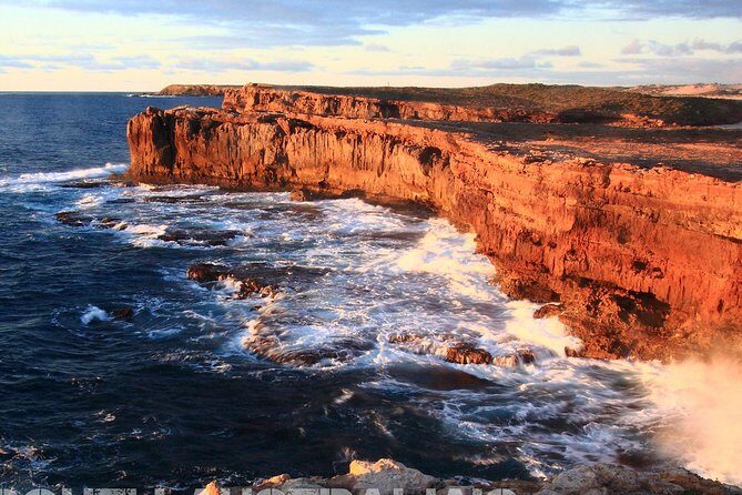 Adelaide City Highlights via Hahndorf Half-Day Tour - Authentic Experiences Based on Real Feedback