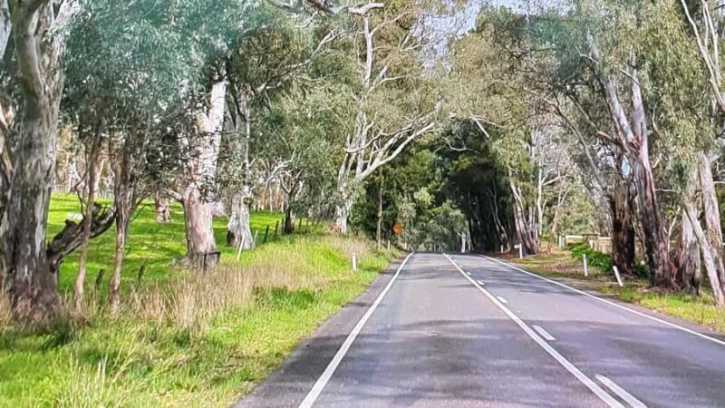 Adelaide City Highlights via Hahndorf Half-Day Tour - Good To Know
