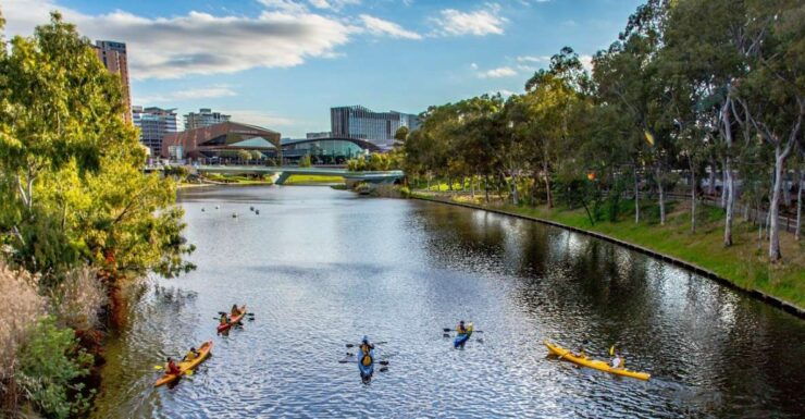 Adelaide: City Kayaking Experience - Experience Highlights