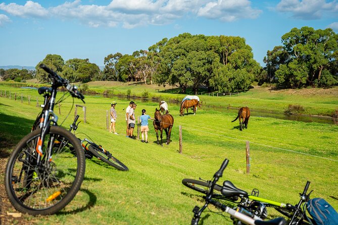 Adelaide City to Sea Bike Tour - Tour Itinerary