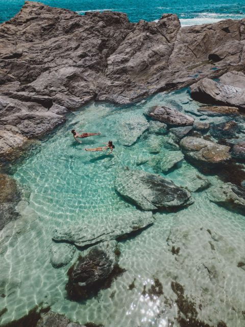 Adelaide: Coastal Walking Tour - Experience Highlights