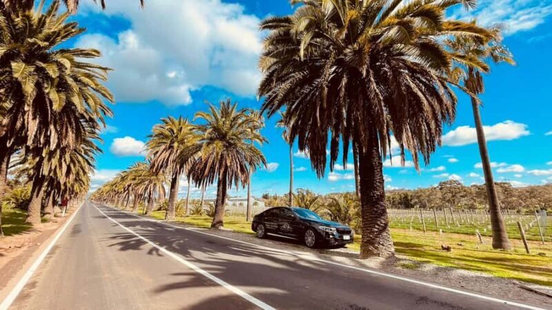 Adelaide Cruise Ship Tours - Good To Know