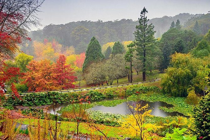 Adelaide Cruise Ship Tours to Hahndorf & Hills Wildlife Wonders - Who Would Love This Tour?