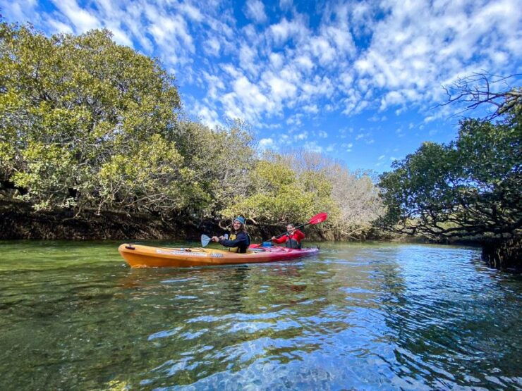 Adelaide: Dolphin Sanctuary 1 or 2-Person Kayak Rental - Booking Details