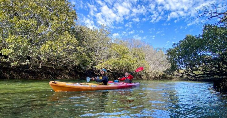 Adelaide: Dolphin Sanctuary 1 or 2-Person Kayak Rental - Experience Details