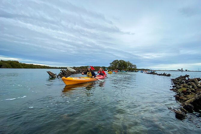 Adelaide Dolphin Sanctuary and Ships Graveyard Kayak Tour - Common Questions