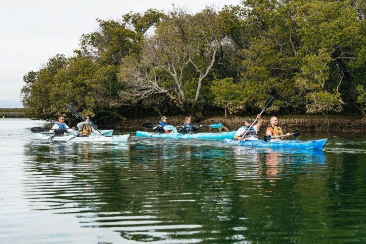 Adelaide: Dolphin Sanctuary Eco Kayaking Tour - Background Information About the Dolphin Sanctuary Eco Kayaking Tour