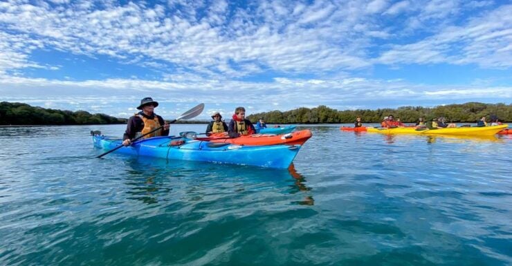 Adelaide: Dolphin Sanctuary Mangroves Kayak Tour - Activity Details