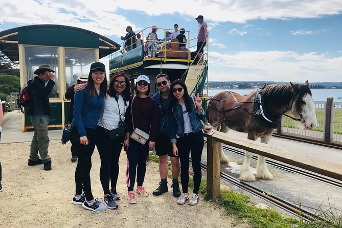 Adelaide Driving Tour - Exploring Adelaide City Attractions
