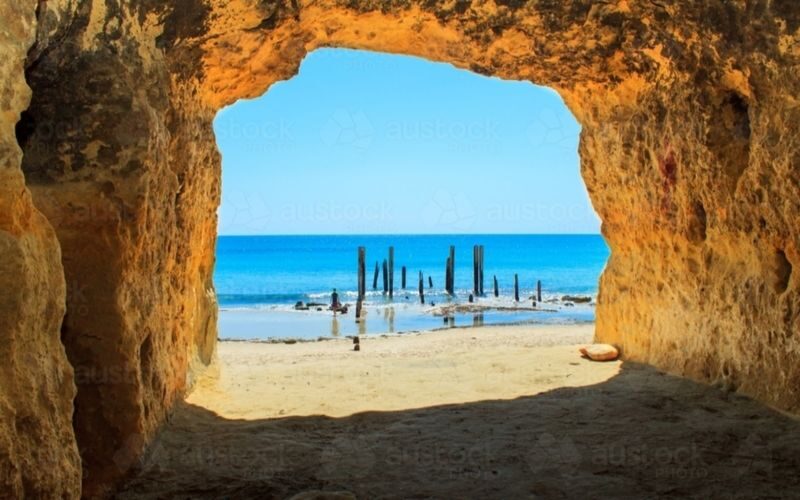 Adelaide Fleurieu Peninsula Full-Day Chinese Small Group Tour - The vehicle and driver matter
