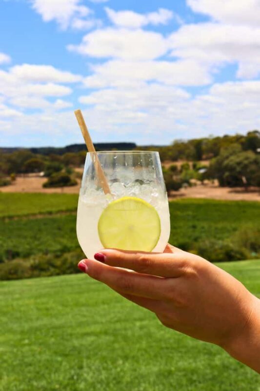 Adelaide: Fleurieu Rock Climb & Gin Tasting - The Itinerary in Detail
