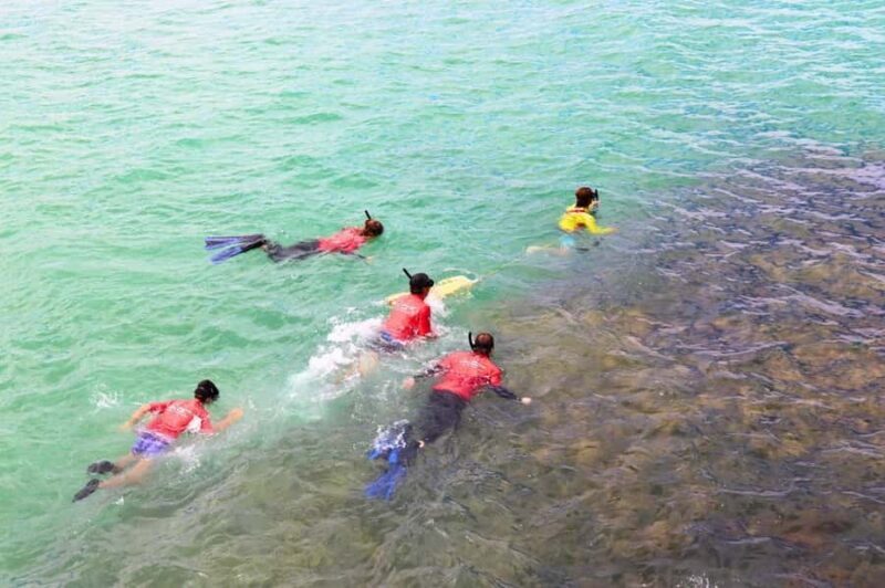 Adelaide: Fleurieu Snorkel & Beer Safari - Practical Details & Considerations