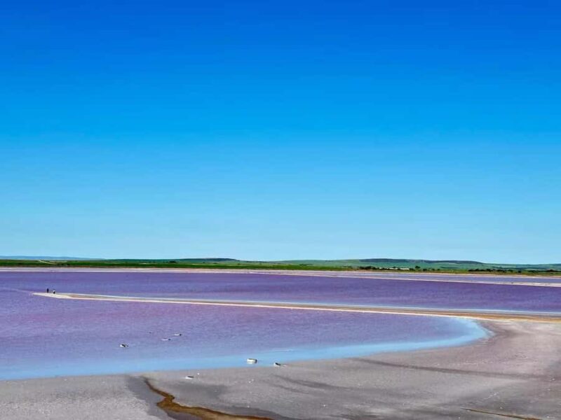 Adelaide Highlights: Wine, Whispering Wall & Pink Lake Tour - Good To Know 