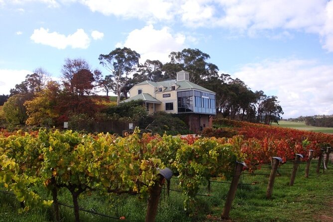 Adelaide Hills Day Tour. Winery Cellar Doors - Additional Information