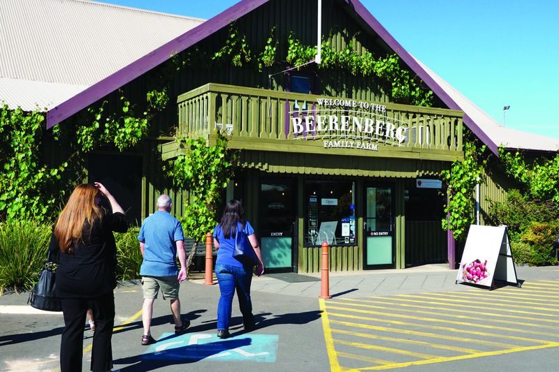 Adelaide Hills & Hahndorf Half Day Guided Tour from Adelaide CBD - Hahndorf: time to wander, eat, and browse