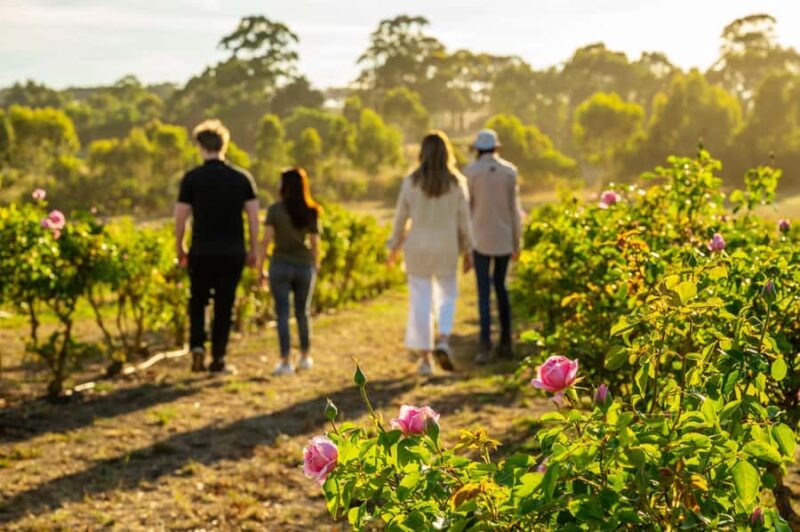 Adelaide Hills: Jurlique Farm Tour - A Closer Look at the Jurlique Farm Tour