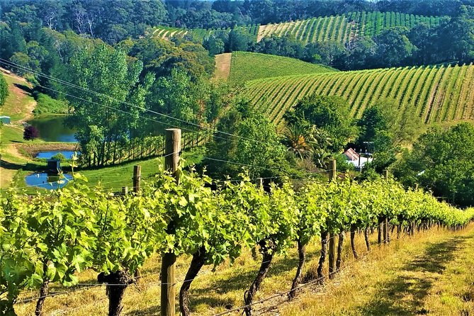 Adelaide Hills Private Day Tour - Climate and Wine Production