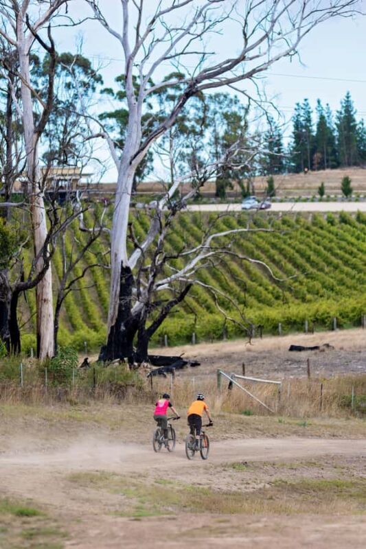 Adelaide Hills: Self-guided E-Bike wine tour with Lunch - What Reviewers Say