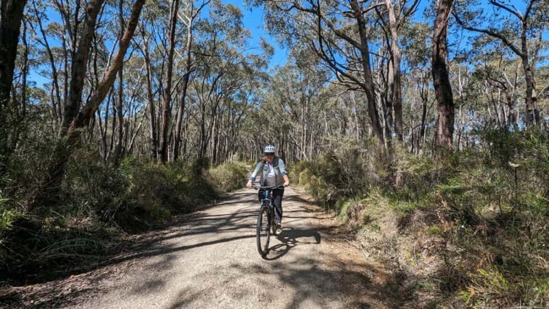 Adelaide Hills: Self-guided E-Bike wine tour with Lunch - The Sum Up