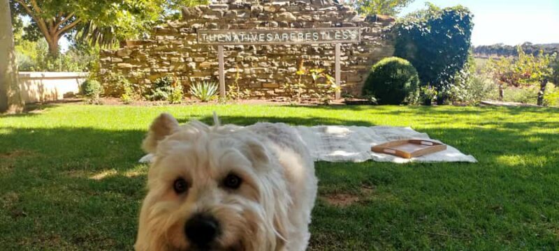 Adelaide Hills: Wine Tasting Tour with Lunch Option - Why Choose This Tour?