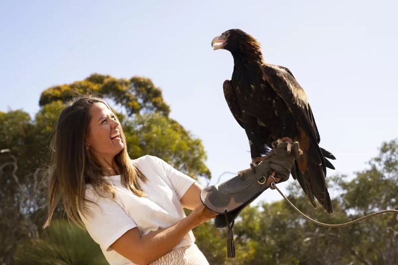 Adelaide Kangaroo Island 2-Day National Park Tour - Getting from Adelaide to Kangaroo Island