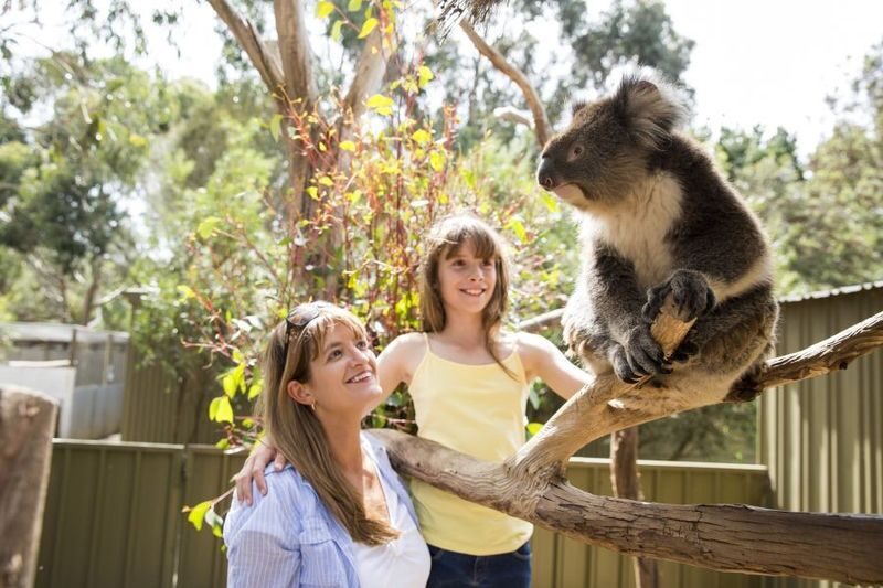 Adelaide Kangaroo Island 2-Day National Park Tour - Beaches, wildlife, and national park scenery