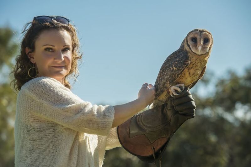 Adelaide Kangaroo Island 2-Day National Park Tour - Guides add more than directions