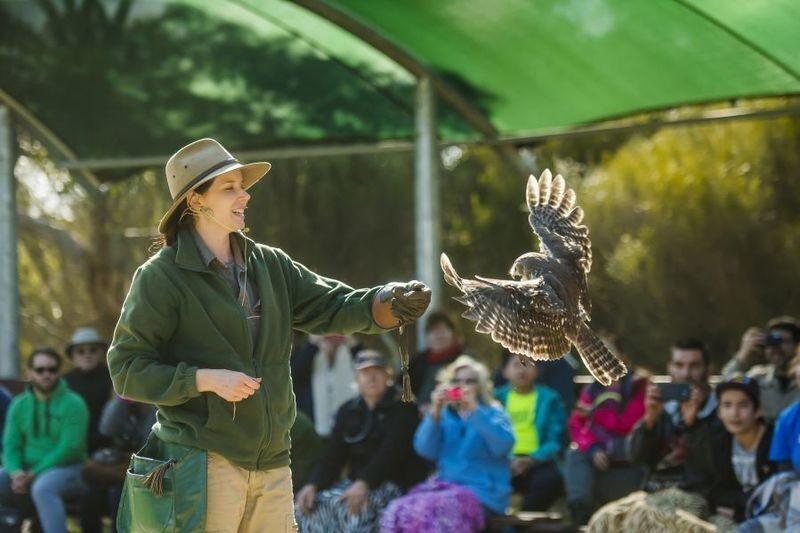 Adelaide Kangaroo Island 2-Day National Park Tour - The Sorrento’s Room package and overnight rhythm