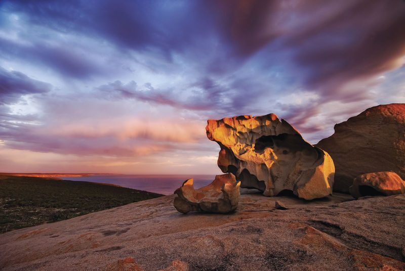 Adelaide Kangaroo Island Day Tour (Chinese Guided 12-Person Small Group) - From Adelaide to Kangaroo Island by ferry