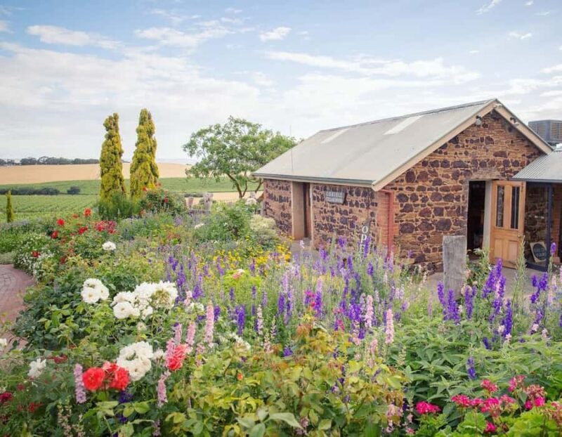 Adelaide: McLaren Vale Private WineTour+Your Chosen Tastings - The Sum Up