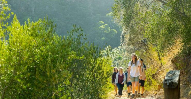 Adelaide: Morialta Wilderness and Wildlife Hike - Booking Information