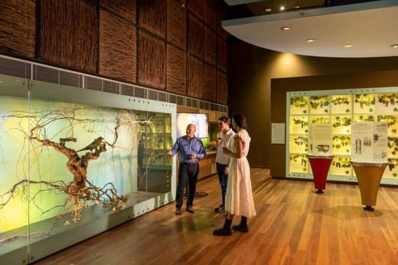 Adelaide: National Wine Centre Wine Discovery Journey - Overview of the Experience