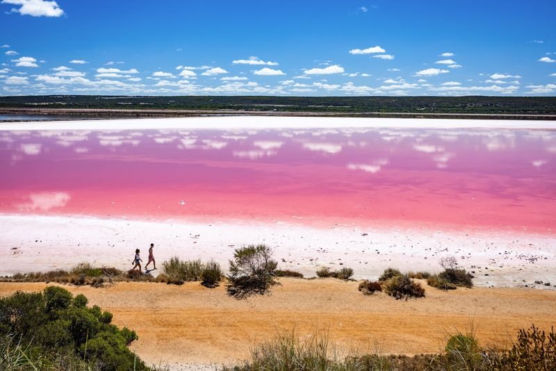 Adelaide Pink Lake & Penfolds Magill Estate Day Trip (Chinese Guided Tour, Small Group of 12) - A pink lake with no guaranteed pink