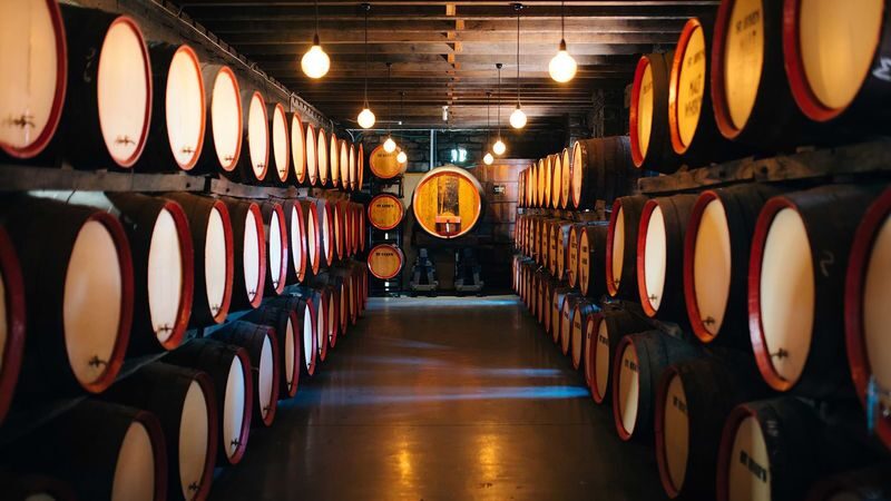 Adelaide Pink Lake & Penfolds Magill Estate Day Trip (Chinese Guided Tour, Small Group of 12) - Is the price fair for this day out?