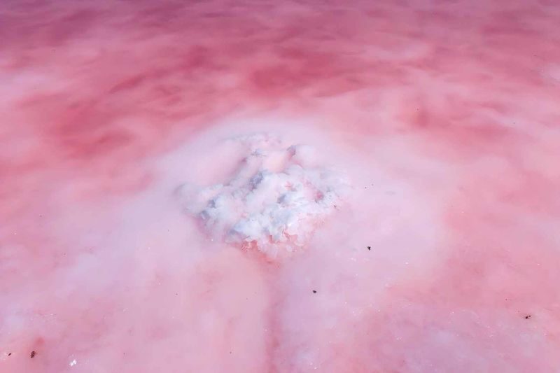 Adelaide Pink Lake & Penfolds Magill Estate Day Trip (Chinese Guided Tour, Small Group of 12) - Who should book this Adelaide day trip?