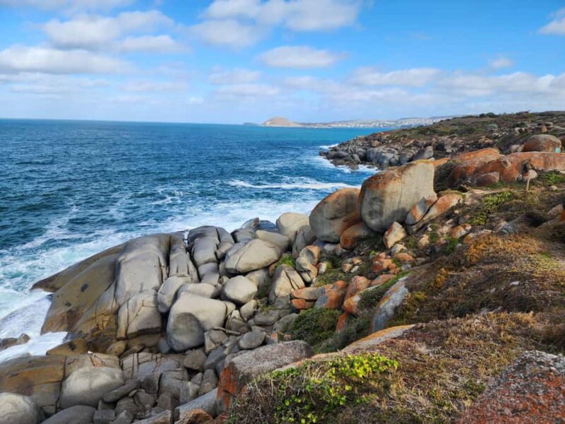 Adelaide: Premium Victor Harbor, Port Elliot and d'Arenberg - Authentic Experiences from Tour Reviews