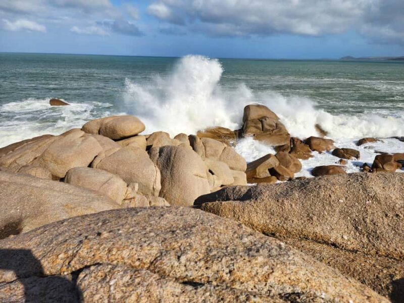 Adelaide: Premium Victor Harbor, Port Elliot and d'Arenberg - Who Would Enjoy This Tour?