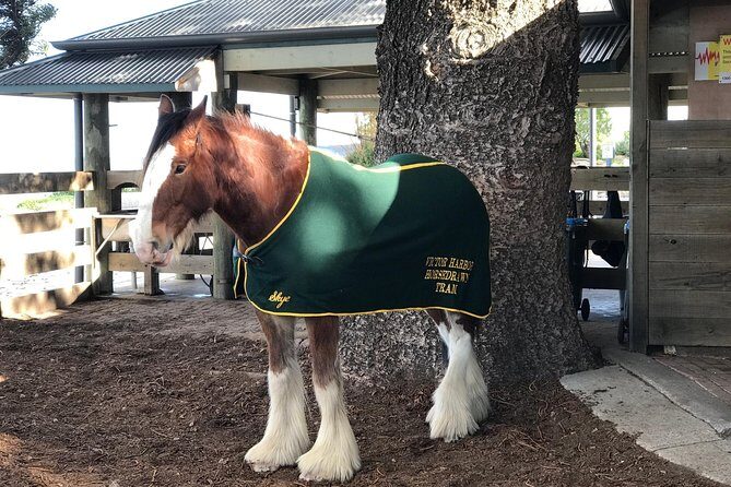 Adelaide: Private Boutique Wine Tasting & Sightseeing Tour - Final Thoughts: Who Will Love This Tour?