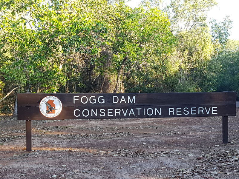 Adelaide River Jumping Croc Cruise Half Day Tour - Four hours is a good fit for a short Darwin stay