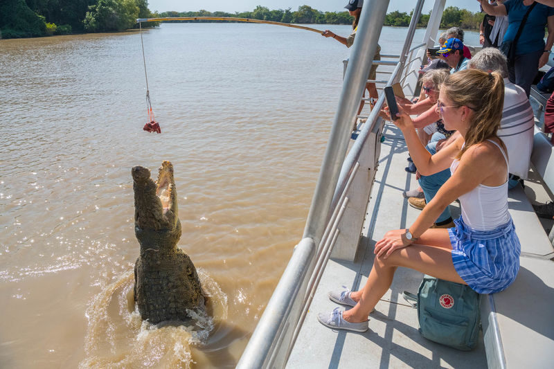 Adelaide River Jumping Crocodile Cruise Tour - The essentials at a glance