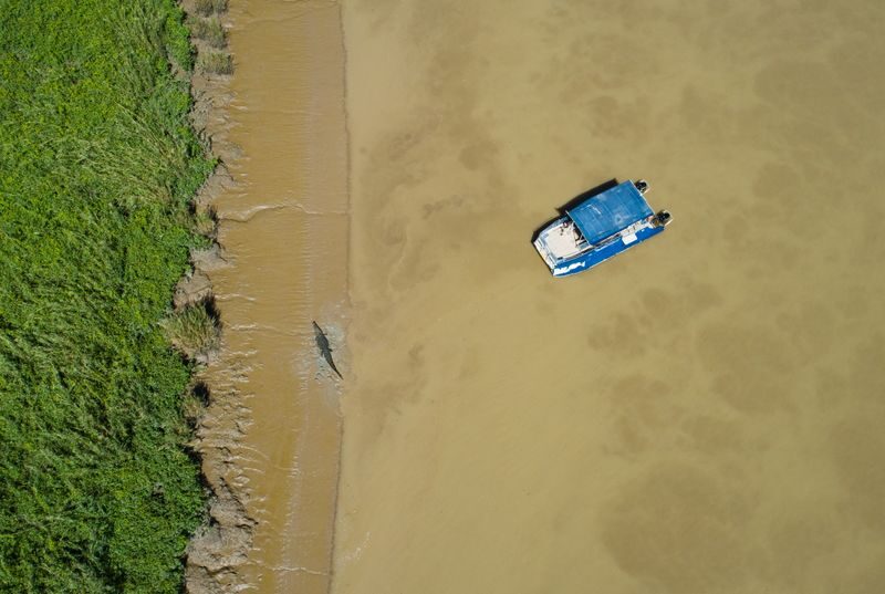 Adelaide River Jumping Crocodile Cruise Tour - Watch the banks for birds and other wildlife