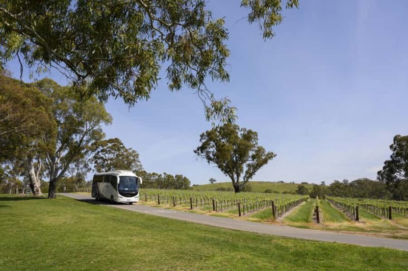 Adelaide: Small Group Tour of Barossa, Wineries with Lunch - Who Would Love This Tour?
