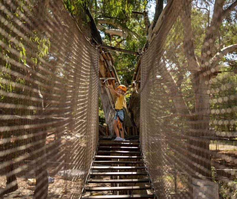 Adelaide: TreeClimb Adelaide Climb For Little Adventurers - What Is the TreeClimb Adelaide Experience?
